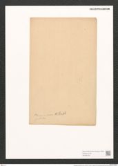 Pleurosigma tenuissimum W.Sm. (de-Toni-Nr.: Genus 13, Species 1091) Zeichnungen Sammlung Grunow (NHMW-BOT-W0369155)